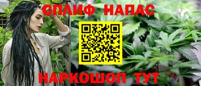 гидра Славянск-на-Кубани