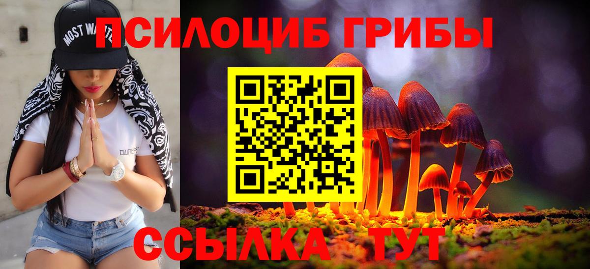 Малоярославец  Галлюциногенные грибы мухоморы  купить наркотики цена  Вход с VPN  Псилоцибиновые грибы Cubensis 